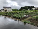 つくば市高見原2丁目5-17