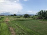 つくば市要元上口堀260番地 他9区画